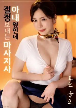 电影蜂鸟计划海报